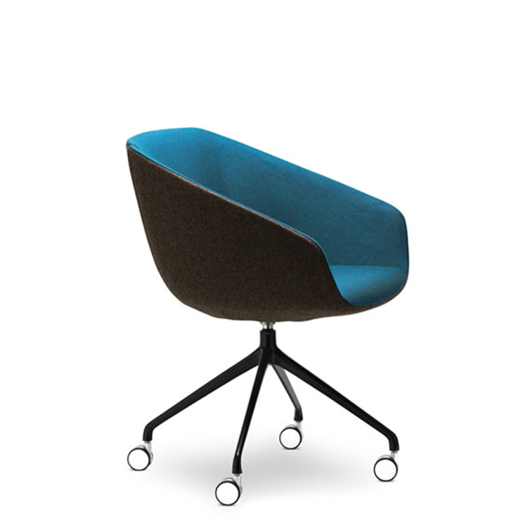 Delphi Meeting Chair