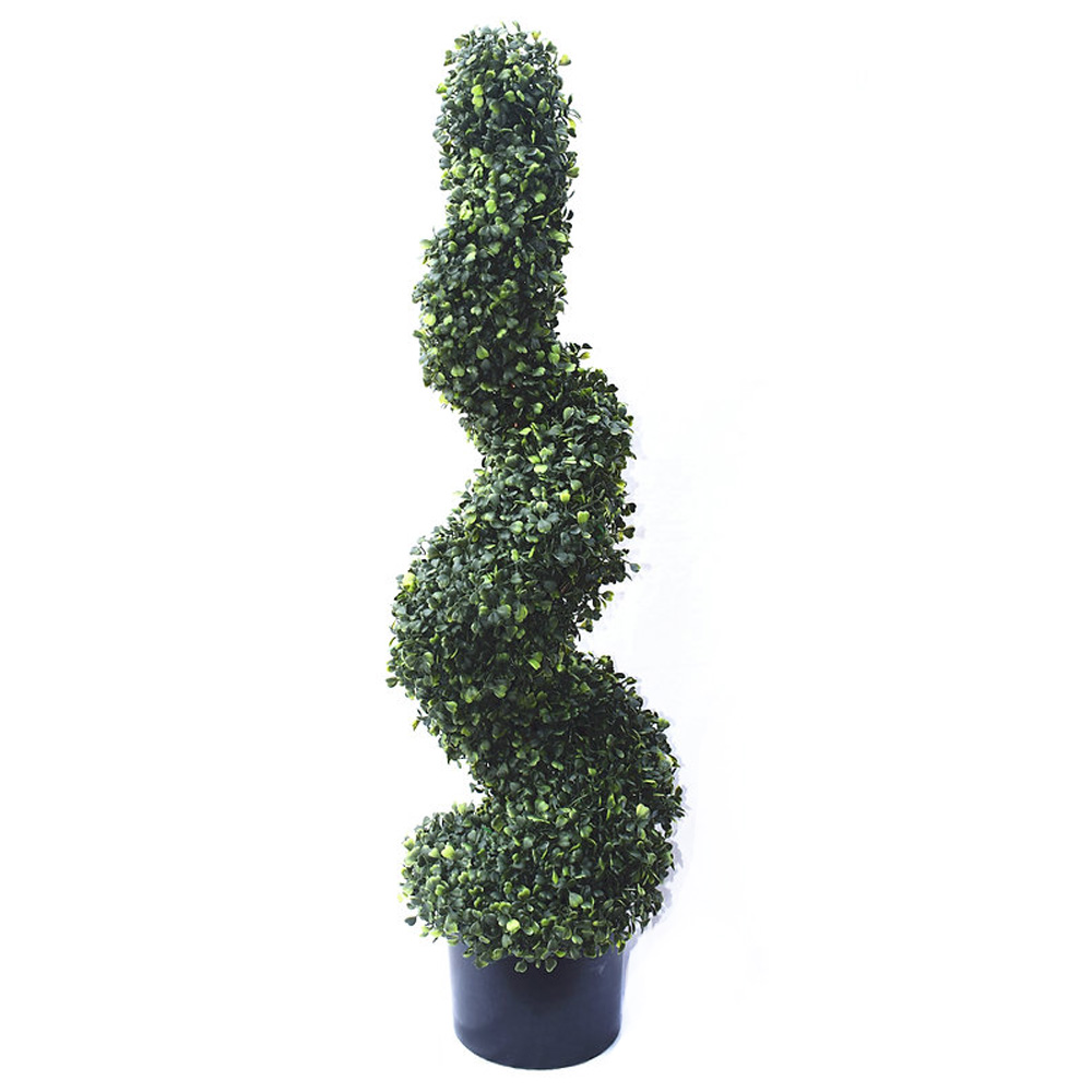 Buxus Spiral Topiary
