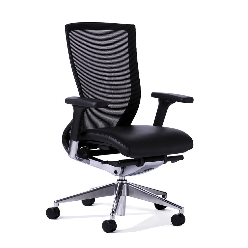 Balance Executive Office Chair