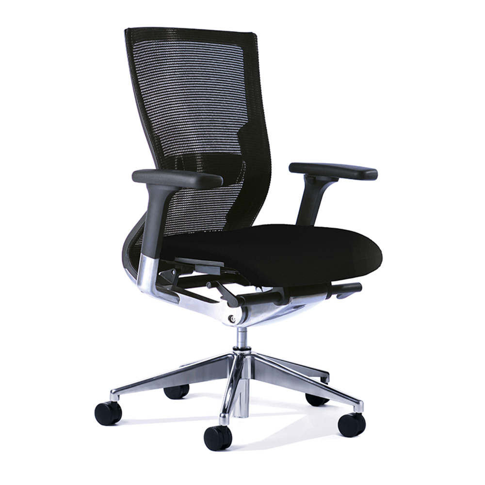 Balance Executive Chair with Lumbar Support