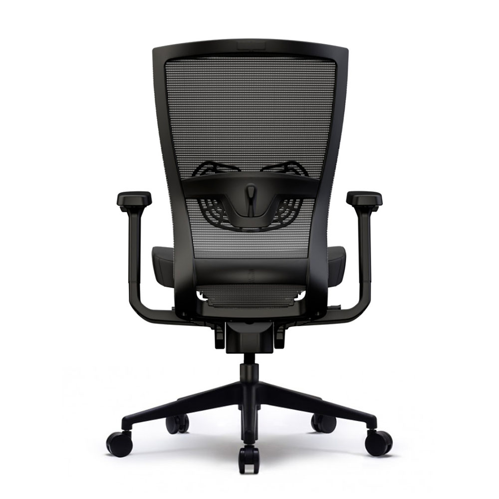 Lucca Task Chair