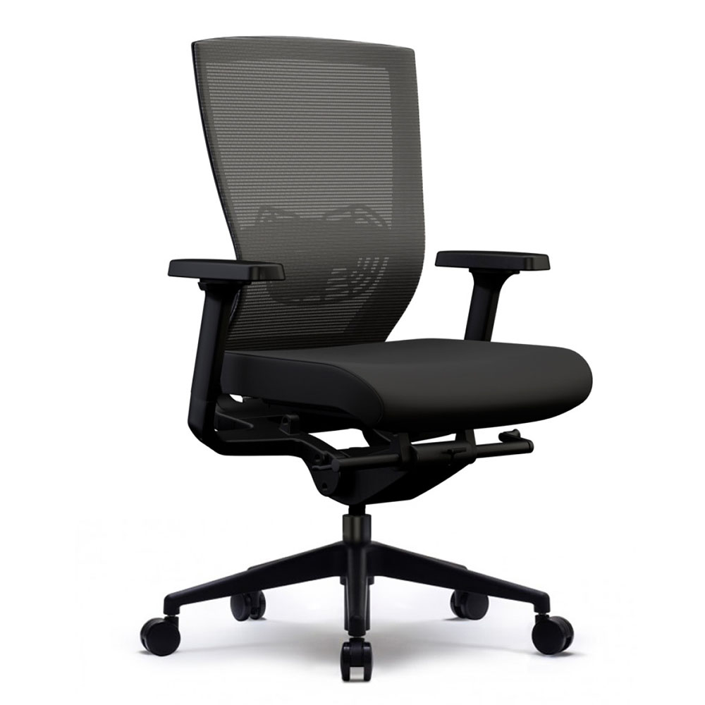 Lucca Task Chair